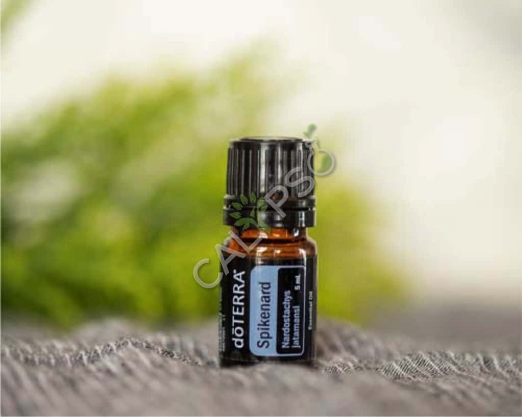 Spikenard Oil Near Me